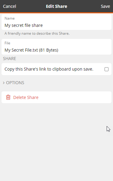 safe_be_share_file_edit