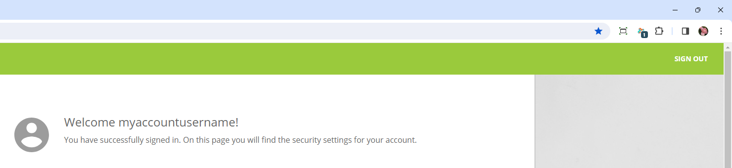 safe_be_create_passkey_7_logged_in