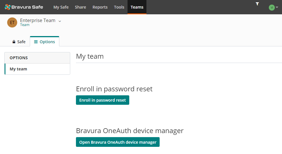 safe_web_entteam_options
