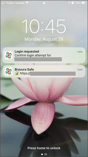 safe_mobile_respond_login_request1