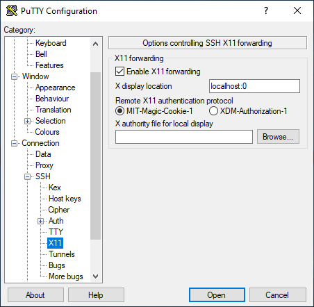 safe_dc_putty_x11_settings